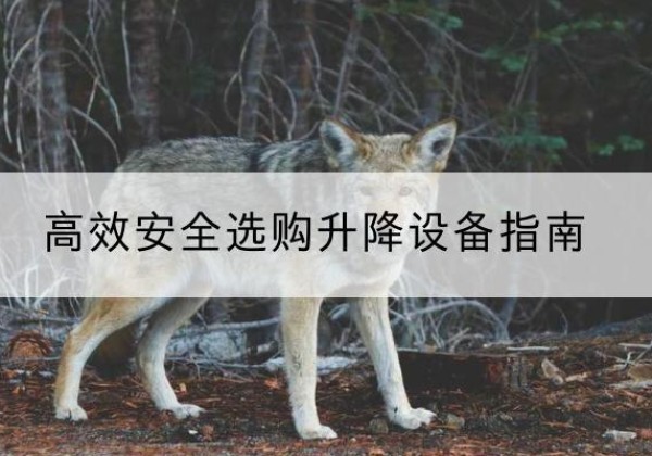 洛川升降货梯厂家推荐-*安全选购升降设备指南
