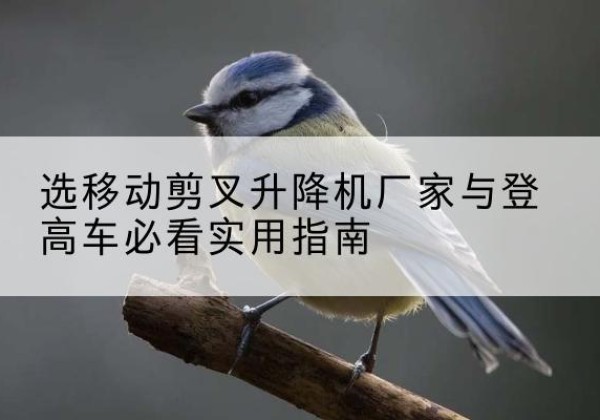 洛川电动升降机厂家-选移动剪叉升降机厂家与登高车必看实用指南