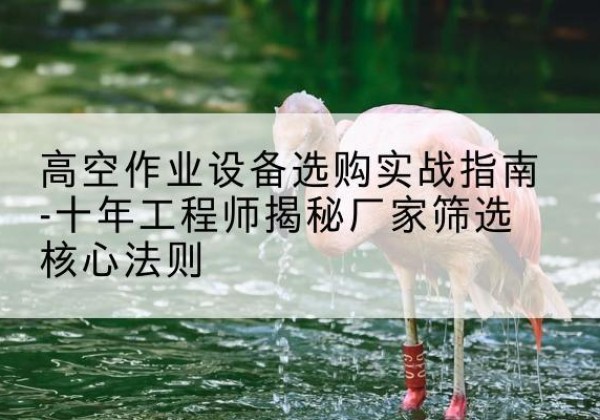 洛川剪叉式升降机厂家-高空作业设备选购实战指南-十年工程师揭秘厂家筛选核心法则